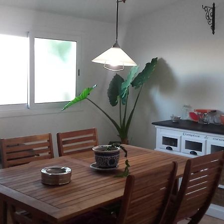 Apartament 4 Gats Deltebre Esterno foto